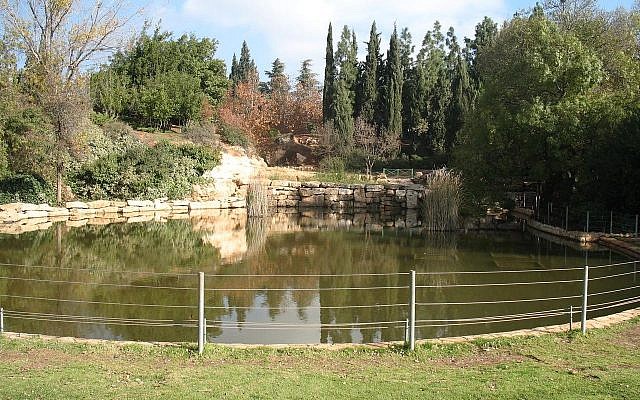 The lake at Wohl Rose Garden, in Jerusalem. (Wikipedia)