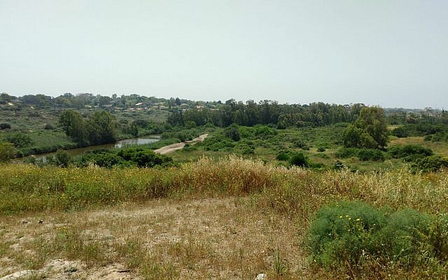 Fields outside of Ruchama, before the fires
