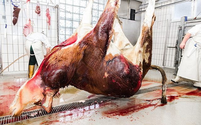 Slaughterhouse practices (iStock)