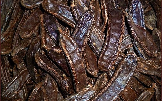 Illustrative. Ripe fruit of the carob tree, March 19, 2011. (Comrade Foot, via Wikipedia)