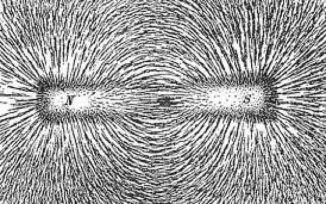 Scattered magnetic filings around a magnet align themselves along the force lines of magnetic field. Scattered magnetic filings around a magnet align themselves along the force lines of magnetic field.