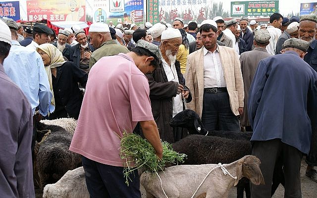 Uyghur people in a livestock market, Kashgar, China. (Wikimedia/ChiralJon_ via Jewish News)