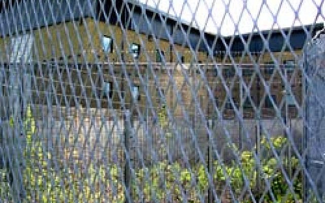 Colnbrook detention centre