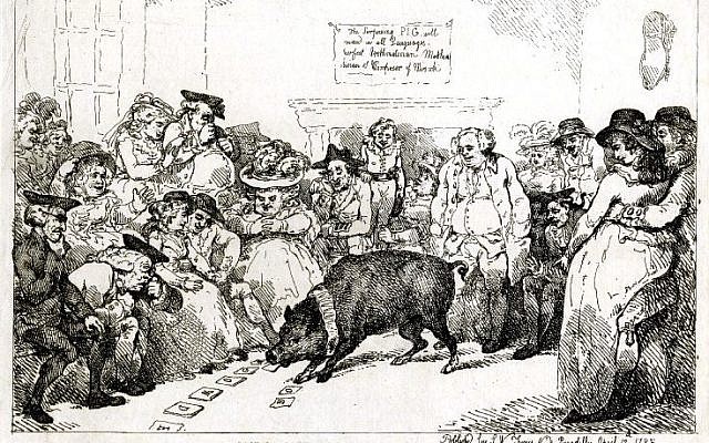 Illustration of the Learned Pig by Thomas Rowlandson, 1785. (Public Domain/ Wikimedia Commons) Illustration of the Learned Pig by Thomas Rowlandson, 1785. (Public Domain/ Wikimedia Commons)