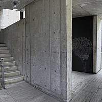 Salk Institute