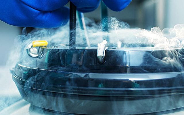 Embryo freezing by vitrification: an advanced form of cryopreservation, courtesy Kumi Sakurai Embryo freezing by vitrification: an advanced form of cryopreservation, courtesy Kumi Sakurai