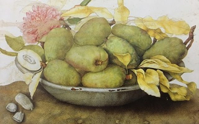 Plate of loquats, almonds and a rose by Giovanna Garzoni