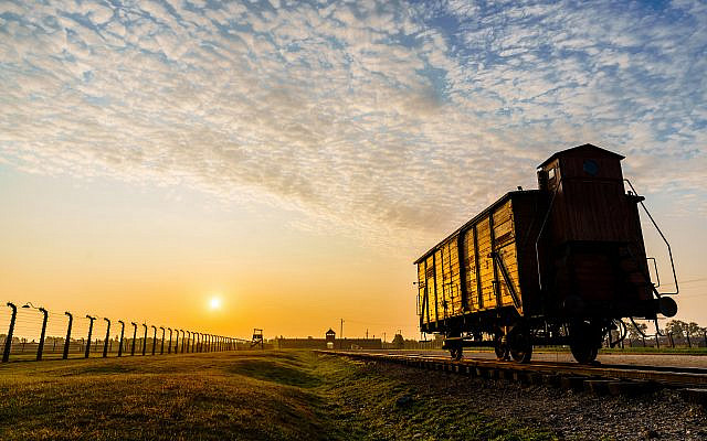 Auschwitz II-Birkenau: wagon used to transport Hungarian Jews, donated by Frank Lowy. From the exhibition "Auschwitz. Now." © Perry Trotter 2019