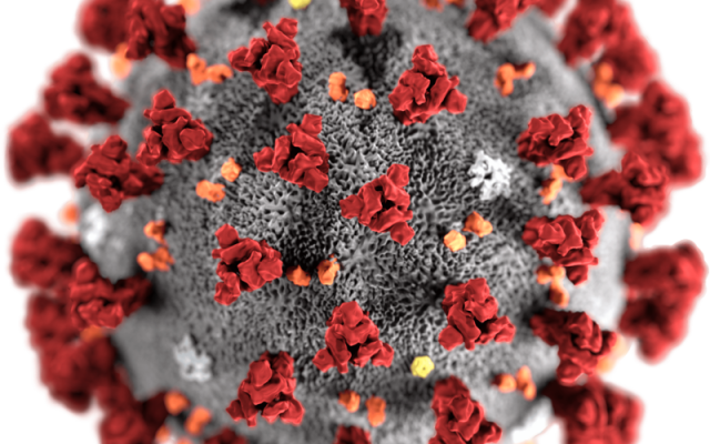 The SARS coronavirus
courtesy CDC/ Alissa Eckert, MS; Dan Higgins, The SARS coronavirus
courtesy CDC/ Alissa Eckert, MS; Dan Higgins,