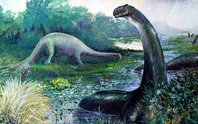 Outdated 1897 restoration by Charles R. Knight of Brontosaurus excelsus submerged in water, and Diplodocus on the bank. (Public Domain/ Wikimedia Commons) Outdated 1897 restoration by Charles R. Knight of Brontosaurus excelsus submerged in water, and Diplodocus on the bank. (Public Domain/ Wikimedia Commons)