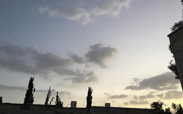 "Early Morning's Minyan", photo by the author "Early Morning's Minyan", photo by the author