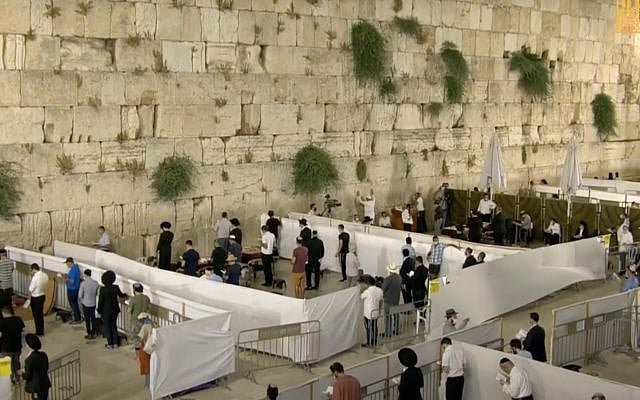 Tisha B'Av at the Western Wall, Jerusalem, June 29, 2020. (Screenshot)