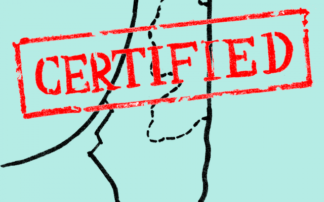 Israeli is Certifiably a State. Original Drawing by Samuel Starr.