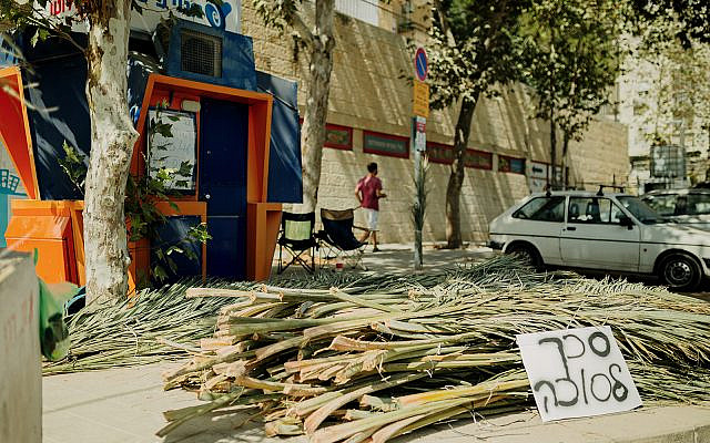 Roofing materials for sukkahs (schach), for sale on a Jerusalem street, September 29, 2020. (Tzipora Lifchitz) Roofing materials for sukkahs (schach), for sale on a Jerusalem street, September 29, 2020. (Tzipora Lifchitz)