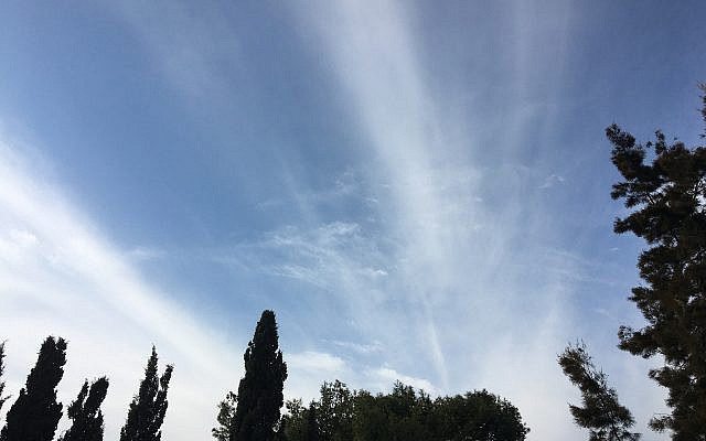 "Miracle Rays" (photo by the author)