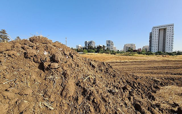 The field that was flattened. Photo: Dan Savery Raz