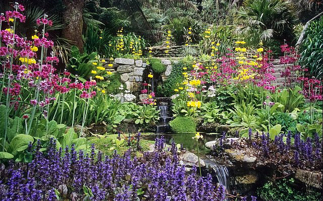 Trebah Gardens, Nr Falmouth, Cornwall, England: Situated in a sheltered valley in the far south west of Cornwall, this garden has a mild and often frost free micro climate. Running down the valley is a delightful small stream that is superbly planted with candelabra Primula and Ajuga.  It is bordered by rhododendrons, Dicksonia, Gunnera, Hydrangea and other moisture loving plants. In spring the stream is a really colourful spectacle. 

Other water features in this garden include a koi pond and sizeable lakes at the bottom of the valley – great for reflections and particularly nice in late summer when the hydrangeas are out.
Trebah gardens are exceptionally well planted and maintained. They are one of my favourite gardens in the far south-west of the UK.


The use of water in English Gardens:  Water has long played an important role many UK gardens. Some of the best English gardens have been built around natural water features, such as streams running down secluded valleys or tranquil pools in a rural setting. 

Many of the grand English landscape gardens use water on a very large scale indeed, often creating artificial lakes that appear to be natural features of the landscape. Other gardens use water on a smaller scale with detailed, intimate planting around a brook or small pool. Even a small fountain or water feature adds a sense of movement to a garden.

However water is used in a garden, it adds another important element to garden design. Large flat reflective surfaces give a sense of peace and tranquillity. Moving water bring dynamism and sound – difficult to resist on a hot summer afternoon. Incorporating water into a garden also provides an ideal environment for a wide variety of moisture loving plants, many of which have architectural foliage and provide great structure too. 

 I hope the photos in this set will be of interest to anyone studying garden design or just seeking inspiration for using water in their own garden.

©  2014 ukgarde