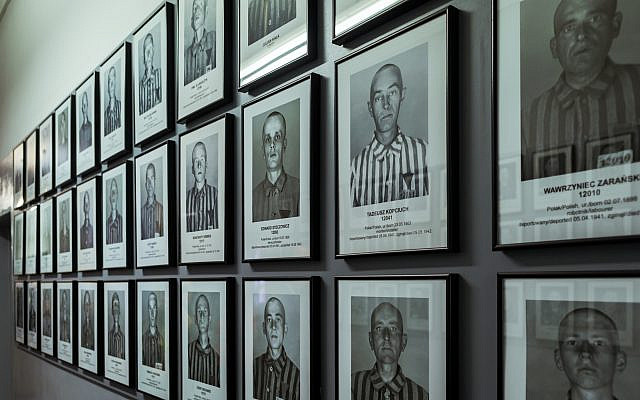 Jews, gypsies, polish, russians and another Prisoners Portraits into nazi concentration camp museum — Photo by Alejobilustracion | Depositphotos Jews, gypsies, polish, russians and another Prisoners Portraits into nazi concentration camp museum — Photo by Alejobilustracion | Depositphotos