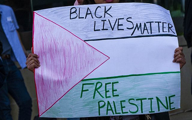 Protesting AIPAC, Chicago, Illinois.(CC/Charles Edward Miller -Photo cropped for fit)