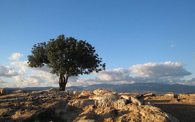 A view of the Galilee, in northern Israel (Flickr Commons)