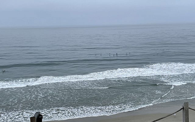 California coastline.  Photo by Vicki Cabot.