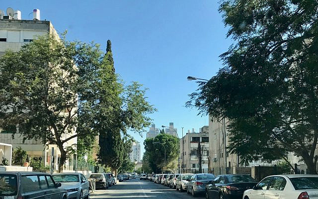 A leafy street in the Jerusalem neighborhood of Arnona, before the Jerusalem municipality and local real estate developers build towers, in order to create more apartment units. (Jessica Steinberg/ The Times of Israel) A leafy street in the Jerusalem neighborhood of Arnona, before the Jerusalem municipality and local real estate developers build towers, in order to create more apartment units. (Jessica Steinberg/ The Times of Israel)
