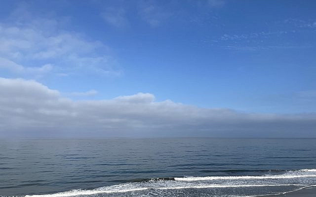At the beach.
Photo Vicki Cabot. At the beach.
Photo Vicki Cabot.