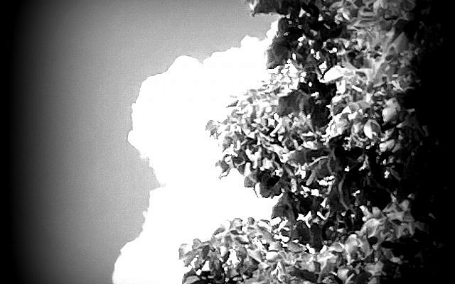 Inna Rogatchi (C). Memory Sketch IV. 2020.