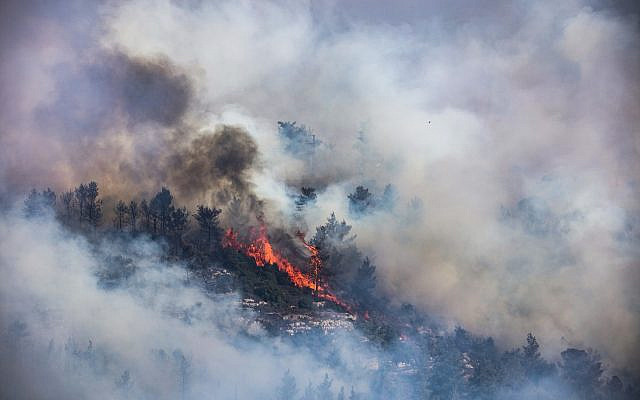 Smoke rise from burnung trees after a large forest fire broke out west of Jerusalem. Israeli police said that evacuations had begun in several villages affected by the flames and roads were being blocked off.
