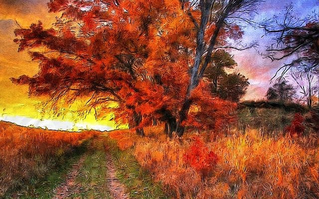 https://pixabay.com/illustrations/autumn-walks-outdoor-autumn-season-4719478/