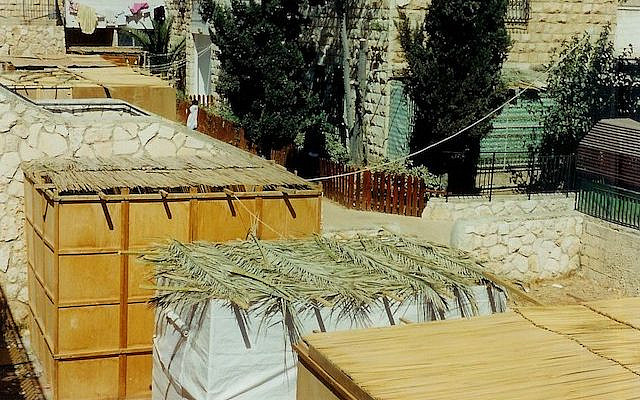 Sukkah roofs. (Wikimedia Commons)