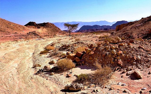 Timna Valley, Negev Desert, Israel. © Brandon Marlon Timna Valley, Negev Desert, Israel. © Brandon Marlon