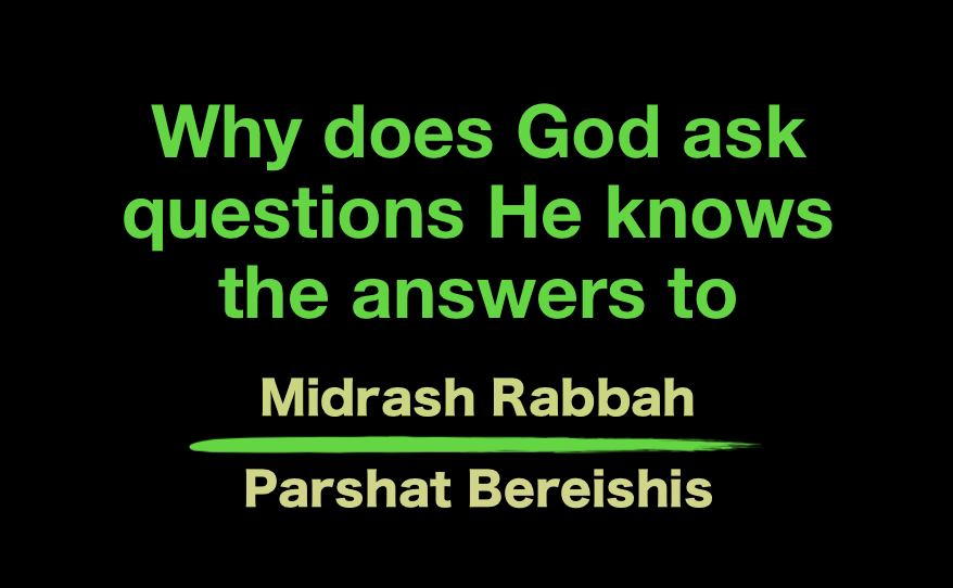 The Blogs: Why does God ask questions He knows the answers to (Midrash ...