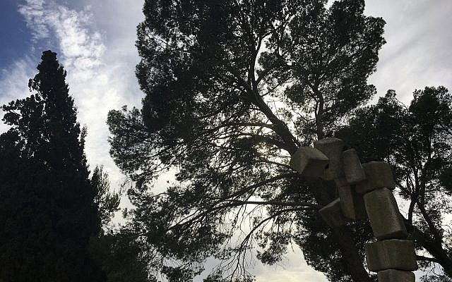 Tree Community (photo by the author)