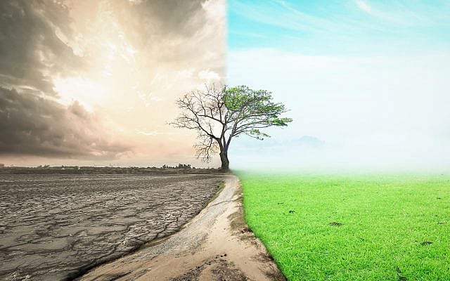 (iStock) (iStock)