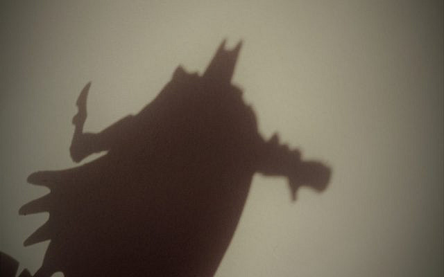 The shadow. Image: Ricardo Silva