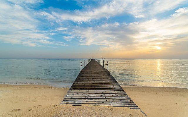 Photo by Sandro Steiner on Unsplash