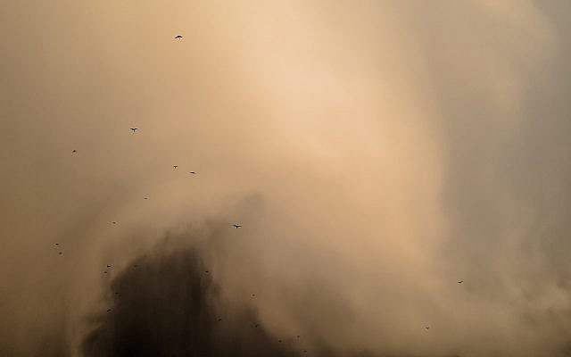 Photo by Artin Bakhan on Unsplash