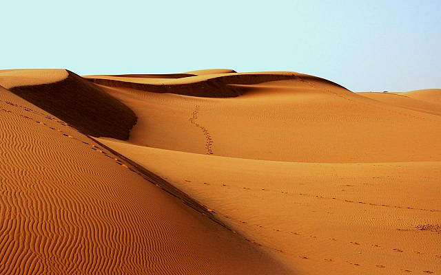 https://pixabay.com/photos/desert-sand-dunes-footprints-arid-1007157/