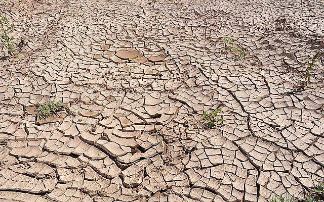 https://pixabay.com/photos/drought-cracked-earth-dry-earth-19478/