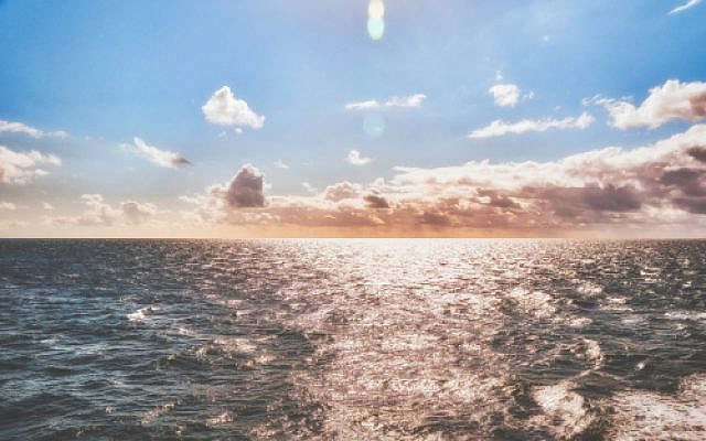 K. Mitch Hodge, Unsplash.com