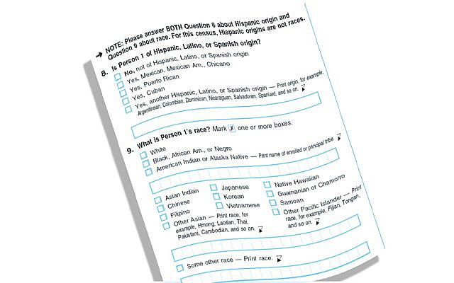 Page from a 2020 US Census form (Graphic rendering The Times of Israel) Page from a 2020 US Census form (Graphic rendering The Times of Israel)