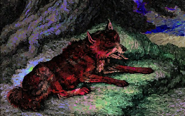 As I Lay Dyin', I, a Wolf, image colorized and modified by the author, from the public domain source, Wikimedia Commons, where it was uploaded from the Wellcome Images, image V0021602. As I Lay Dyin', I, a Wolf, image colorized and modified by the author, from the public domain source, Wikimedia Commons, where it was uploaded from the Wellcome Images, image V0021602.
