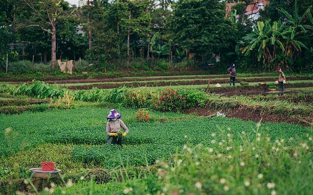 https://pixabay.com/photos/countryside-harvest-farmer-6700296/