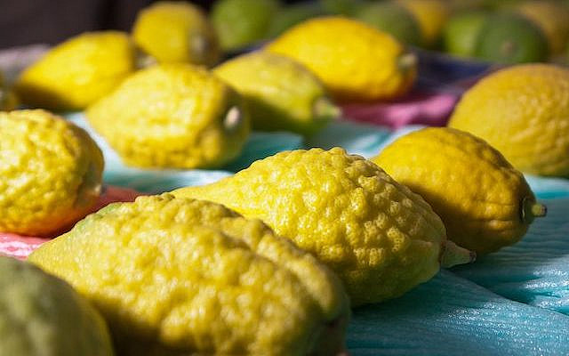 https://commons.wikimedia.org/wiki/File:Etrog_at_the_Market_of_the_4_Species_at_Bnei_Brak.jpg