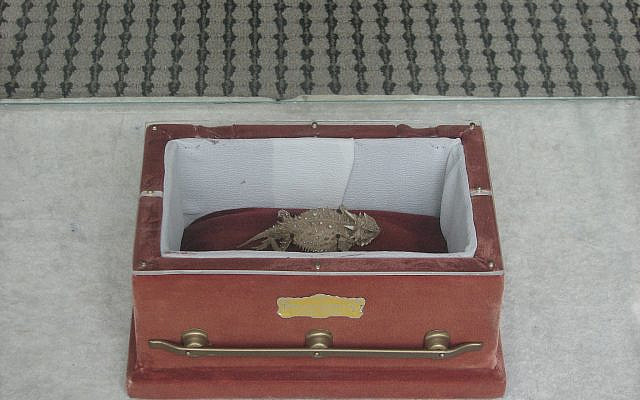 Old Rip in his coffin. (CC BY-SA, QuesterMark/ Flickr)