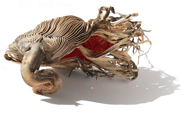 Va'Tetze Esh by Hagit Cohen from The Amen Institute's Artist Fellowship
