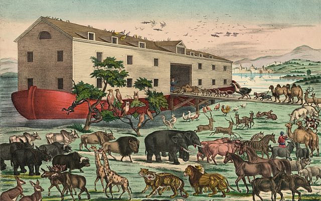 Vintage Noahs Ark Illustration
Vintage public domain illustration from the library of congress.