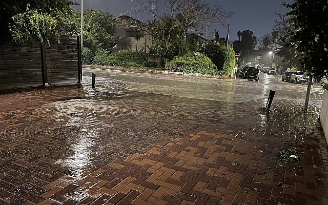 Rainy evening outside the writer's home in Tel Mond.