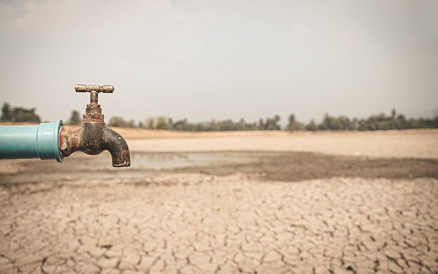 (R. Lee / iStock)